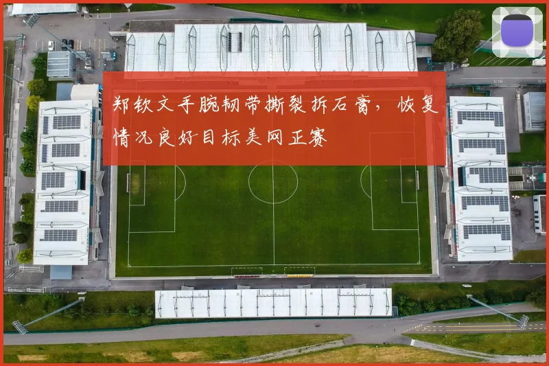 郑钦文手腕韧带撕裂拆石膏，恢复情况良好目标美网正赛